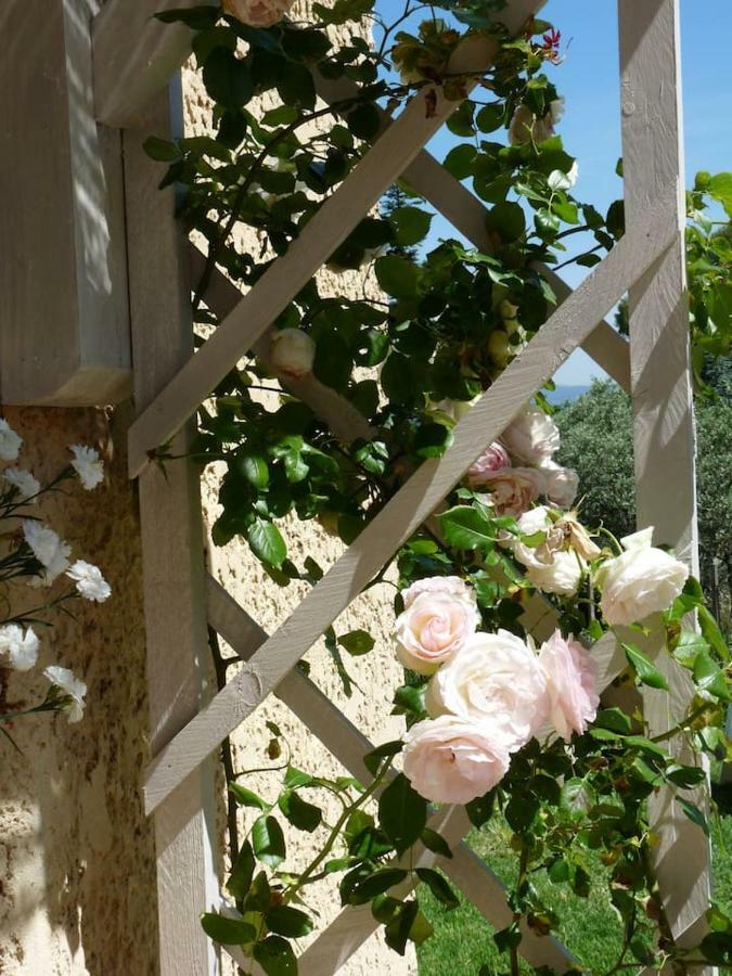 La Colline En Provence - Tout Confort - Au Calme - Centre Ville A Pieds Pernes-les-Fontaines Zewnętrze zdjęcie